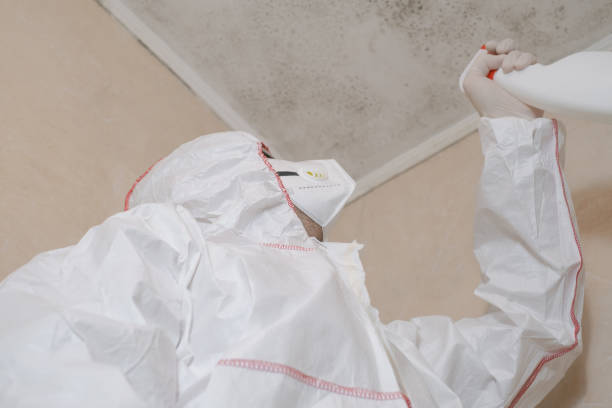 Mold Removal Process in Vandercook Lake, MI