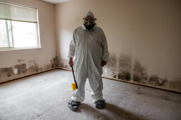 Best Commercial Mold Removal  in Vandercook Lake, MI